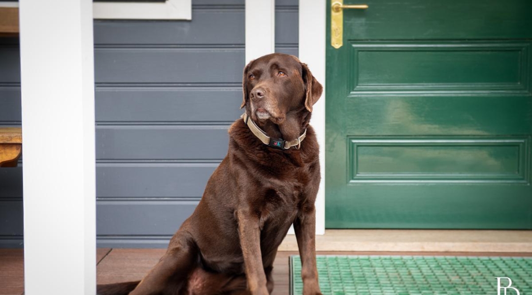 152 Croziers Road, JASPERS BRUSH, NSW 2535 AUS