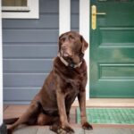 152 Croziers Road, JASPERS BRUSH, NSW 2535 AUS