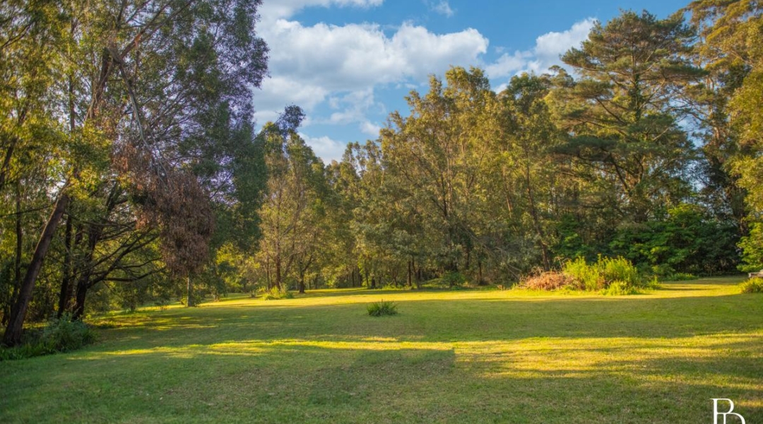 1025 Kangaroo Valley Road, BELLAWONGARAH, NSW 2535 AUS