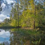 1025 Kangaroo Valley Road, BELLAWONGARAH, NSW 2535 AUS
