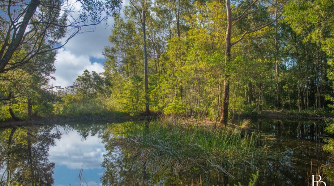 1025 Kangaroo Valley Road, BELLAWONGARAH, NSW 2535 AUS
