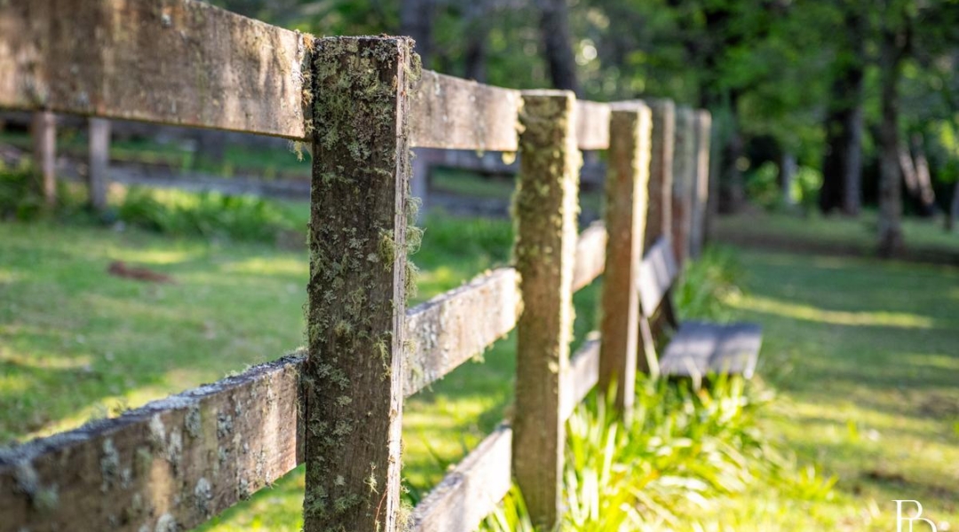 1025 Kangaroo Valley Road, BELLAWONGARAH, NSW 2535 AUS
