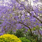 2 Southern Road, TERARA, NSW 2540 AUS