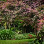 2 Southern Road, TERARA, NSW 2540 AUS