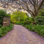 2 Southern Road, TERARA, NSW 2540 AUS