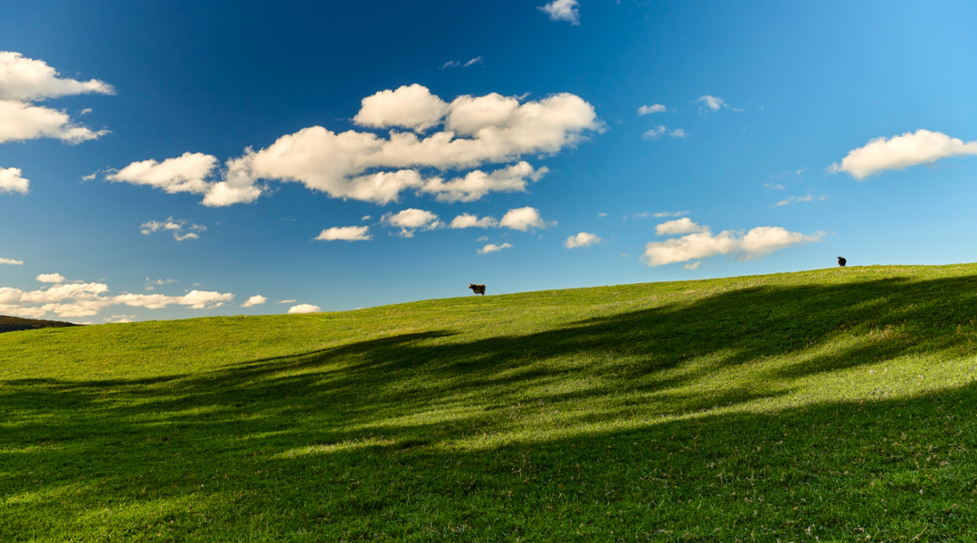 844C Kangaroo Valley Road, BELLAWONGARAH, NSW 2535 AUS