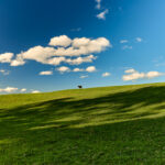 844C Kangaroo Valley Road, BELLAWONGARAH, NSW 2535 AUS