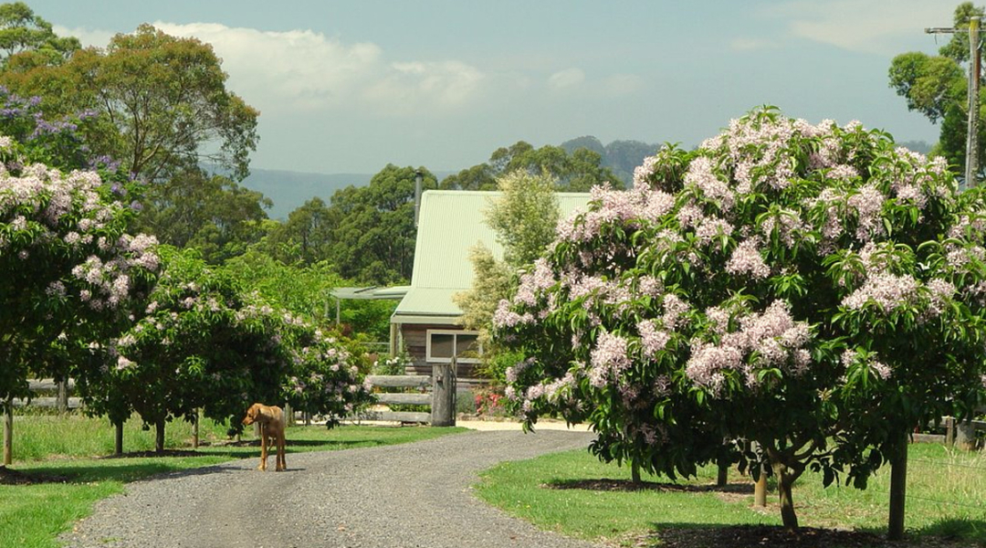 844C Kangaroo Valley Road, BELLAWONGARAH, NSW 2535 AUS