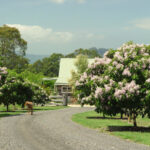 844C Kangaroo Valley Road, BELLAWONGARAH, NSW 2535 AUS