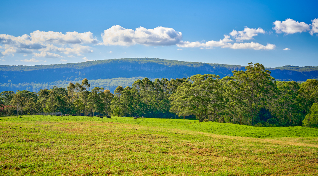 844C Kangaroo Valley Road, BELLAWONGARAH, NSW 2535 AUS