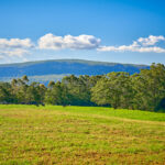 844C Kangaroo Valley Road, BELLAWONGARAH, NSW 2535 AUS