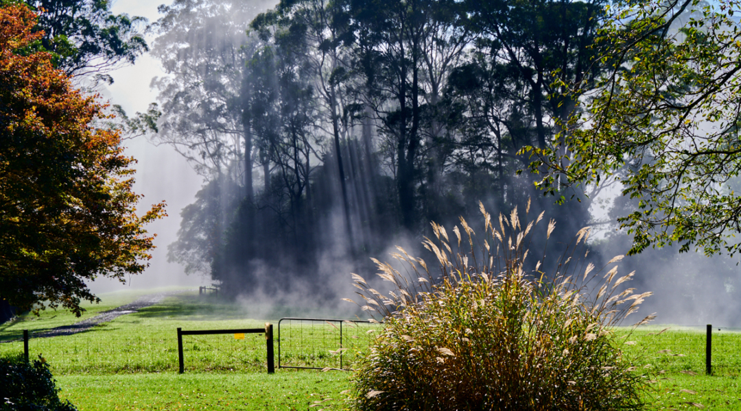844C Kangaroo Valley Road, BELLAWONGARAH, NSW 2535 AUS