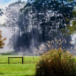 844C Kangaroo Valley Road, BELLAWONGARAH, NSW 2535 AUS