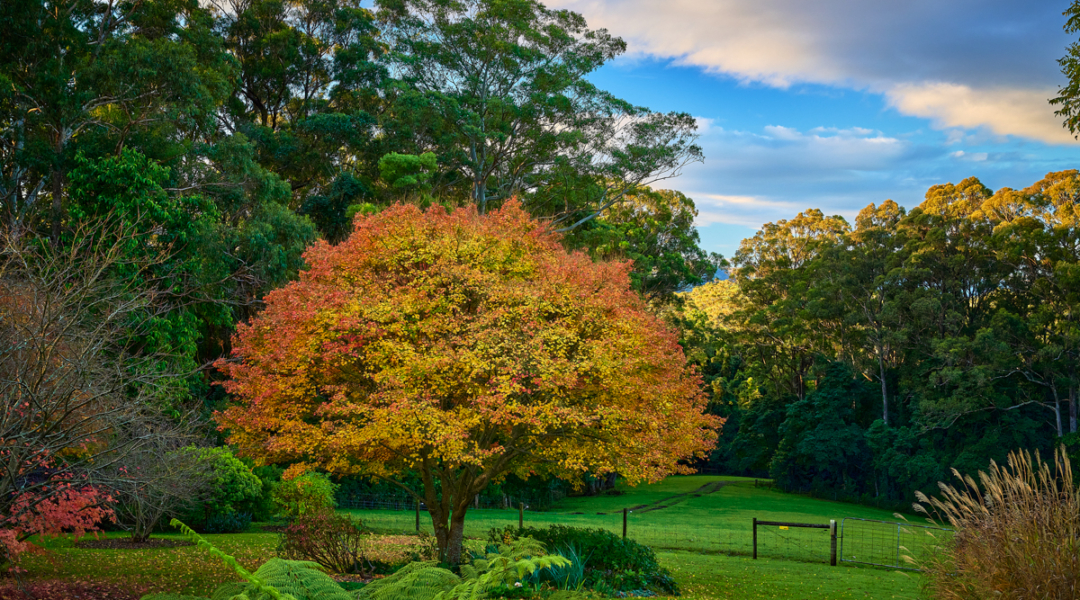 844C Kangaroo Valley Road, BELLAWONGARAH, NSW 2535 AUS