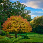 844C Kangaroo Valley Road, BELLAWONGARAH, NSW 2535 AUS