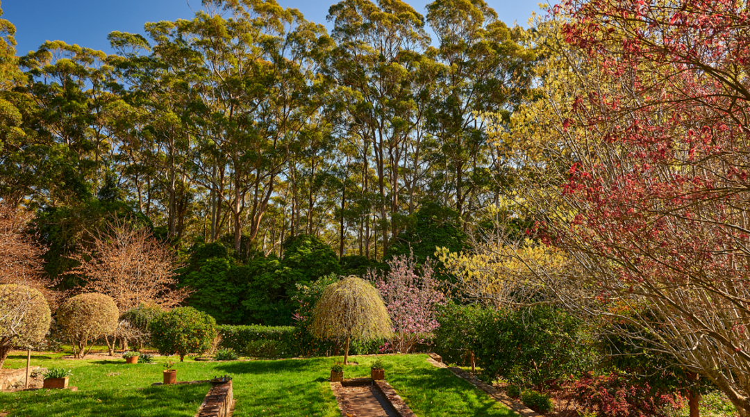 844C Kangaroo Valley Road, BELLAWONGARAH, NSW 2535 AUS