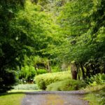 291A Mount Hay Road, BROUGHTON VALE, NSW 2535 AUS