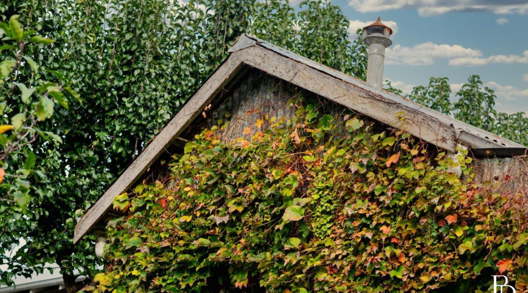 33 Victoria Street, BERRY, NSW 2535 AUS