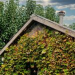 33 Victoria Street, BERRY, NSW 2535 AUS