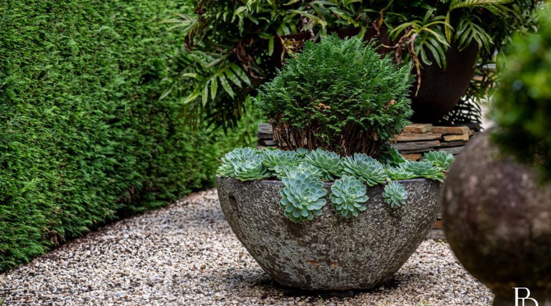 33 Victoria Street, BERRY, NSW 2535 AUS