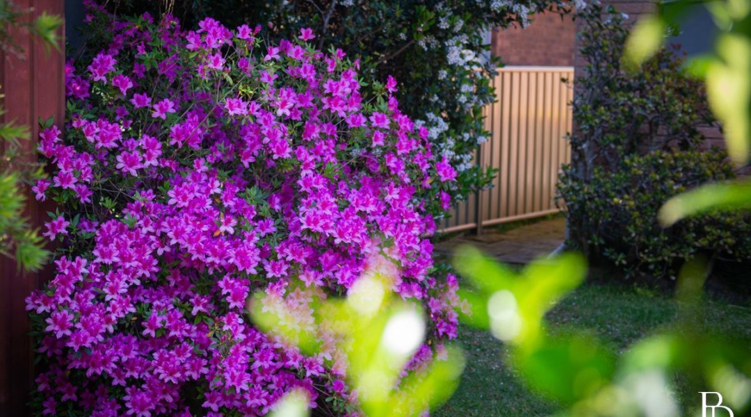 13 Princess Street, BERRY, NSW 2535 AUS