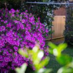 13 Princess Street, BERRY, NSW 2535 AUS