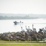 46 Haiser Road, GREENWELL POINT, NSW 2540 AUS