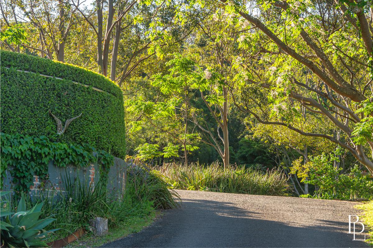 410B Moss Vale Road, Cambewarra - Thumbnail 8