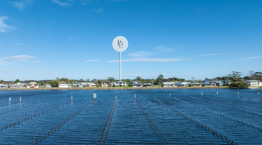 46 Haiser Road, GREENWELL POINT, NSW 2540 AUS