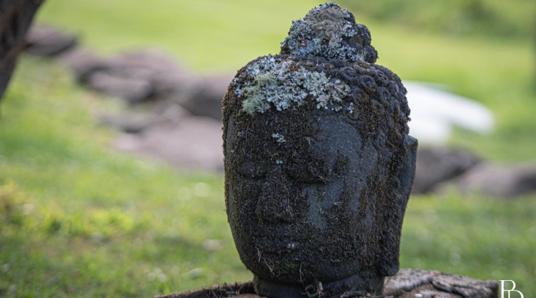 BUNDEWALLAH, NSW 2535 AUS