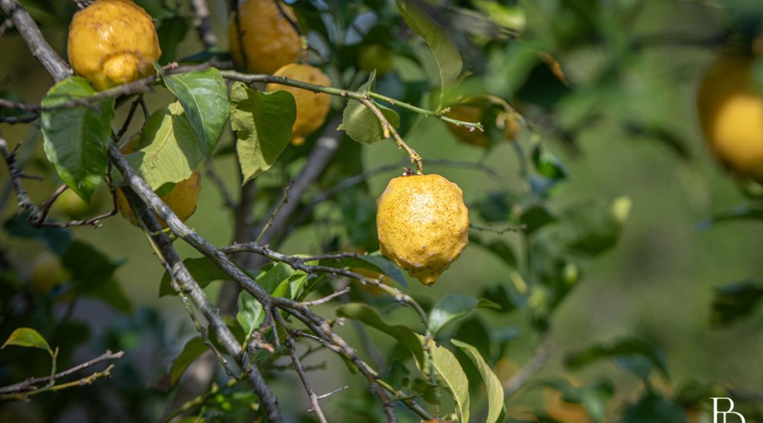 BUNDEWALLAH, NSW 2535 AUS