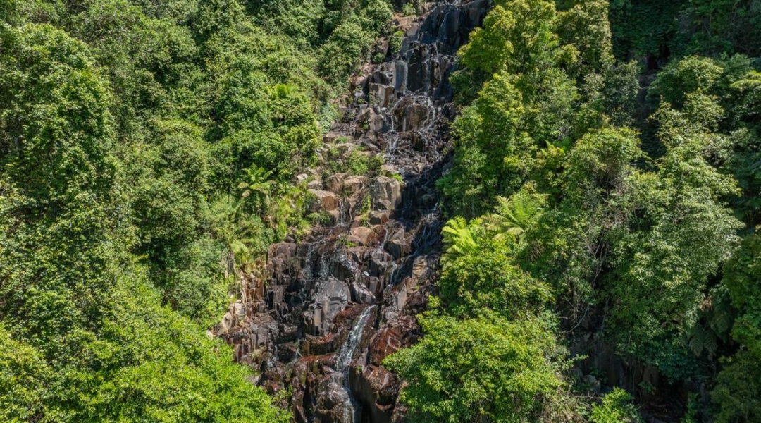 614 Tourist Road, BELLAWONGARAH, NSW 2535 AUS