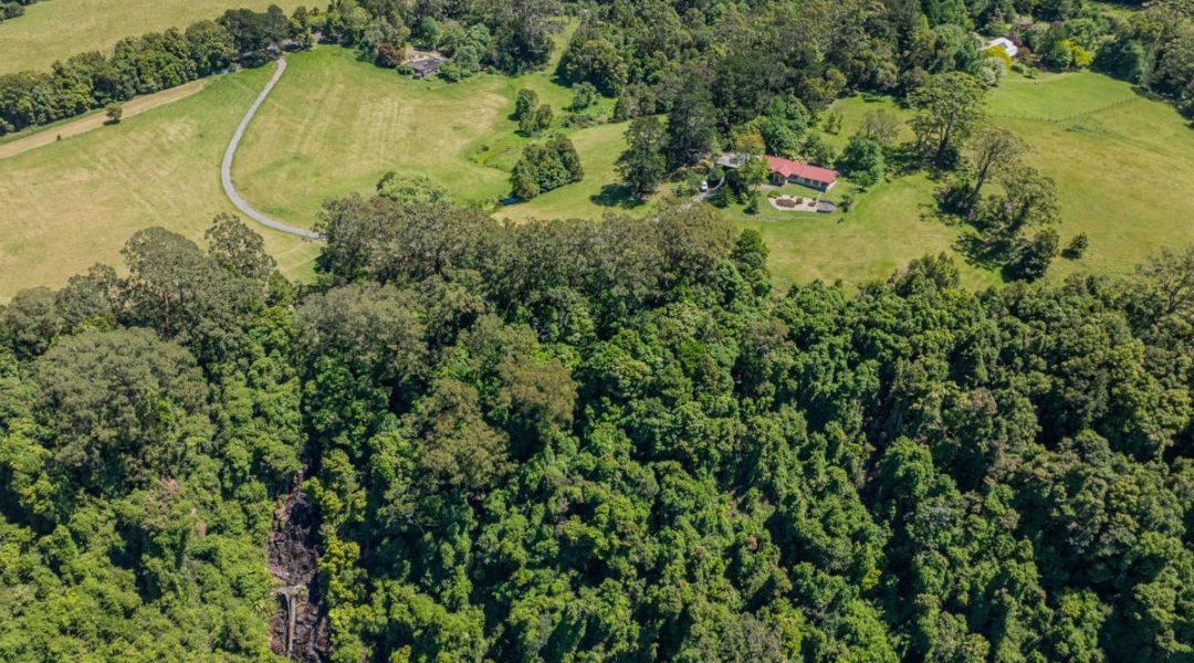 614 Tourist Road, BELLAWONGARAH, NSW 2535 AUS