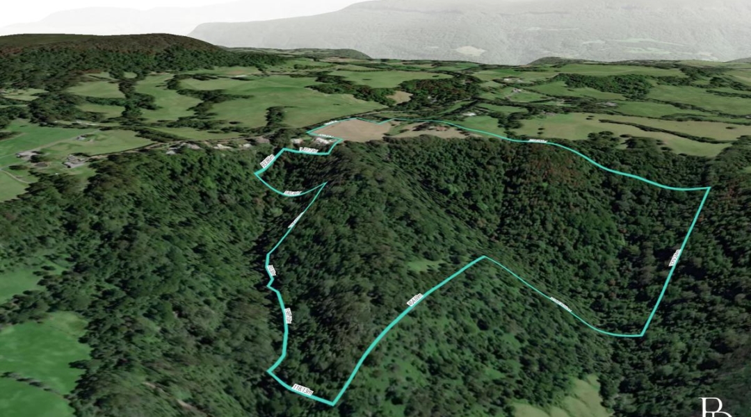 614 Tourist Road, BELLAWONGARAH, NSW 2535 AUS