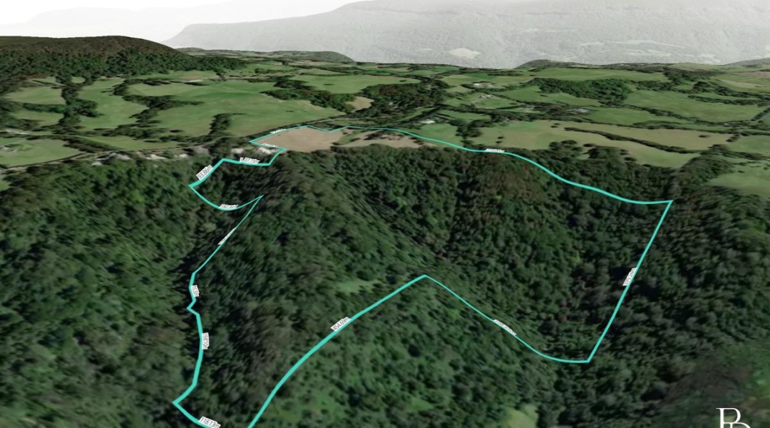 614 Tourist Road, BELLAWONGARAH, NSW 2535 AUS