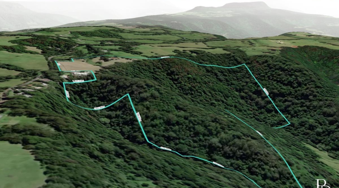 614 Tourist Road, BELLAWONGARAH, NSW 2535 AUS