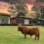 226 Bawley Point Road, BAWLEY POINT, NSW 2539 AUS