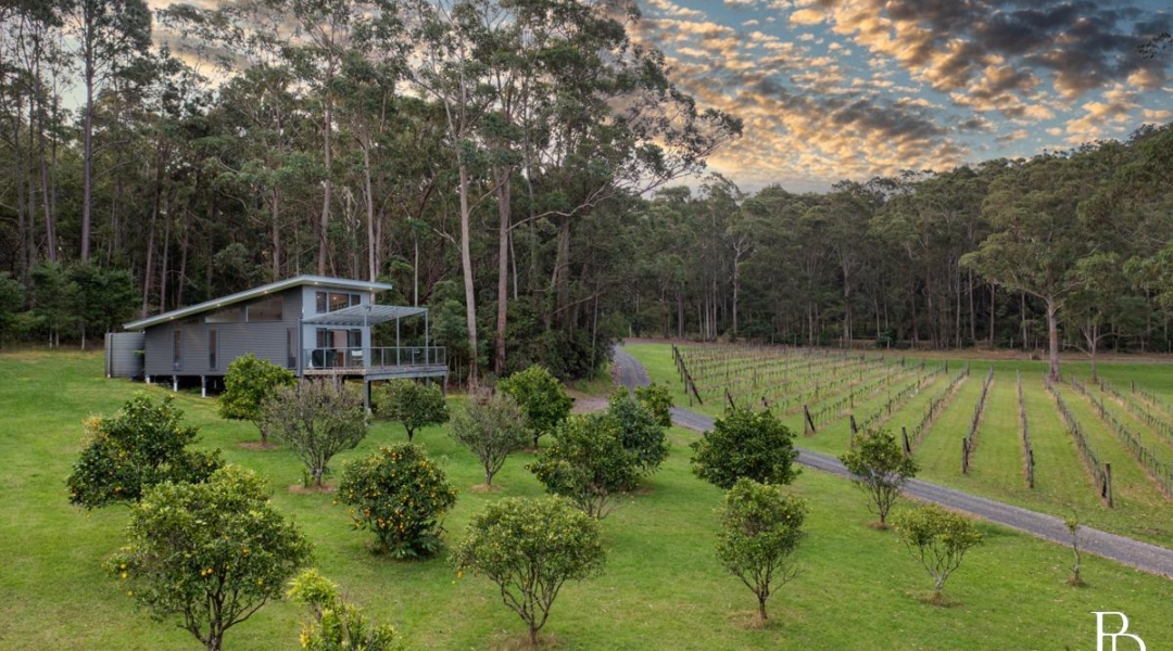 226 Bawley Point Road, BAWLEY POINT, NSW 2539 AUS