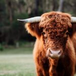 226 Bawley Point Road, BAWLEY POINT, NSW 2539 AUS
