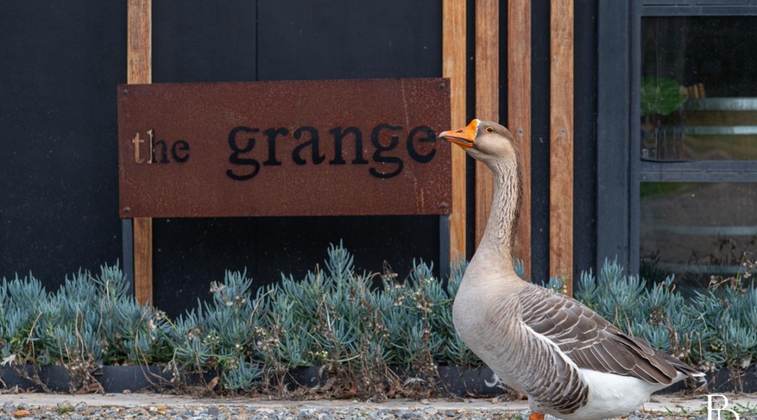 226 Bawley Point Road, BAWLEY POINT, NSW 2539 AUS