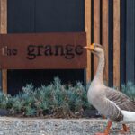 226 Bawley Point Road, BAWLEY POINT, NSW 2539 AUS