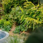 4C Albert Street, BERRY, NSW 2535 AUS
