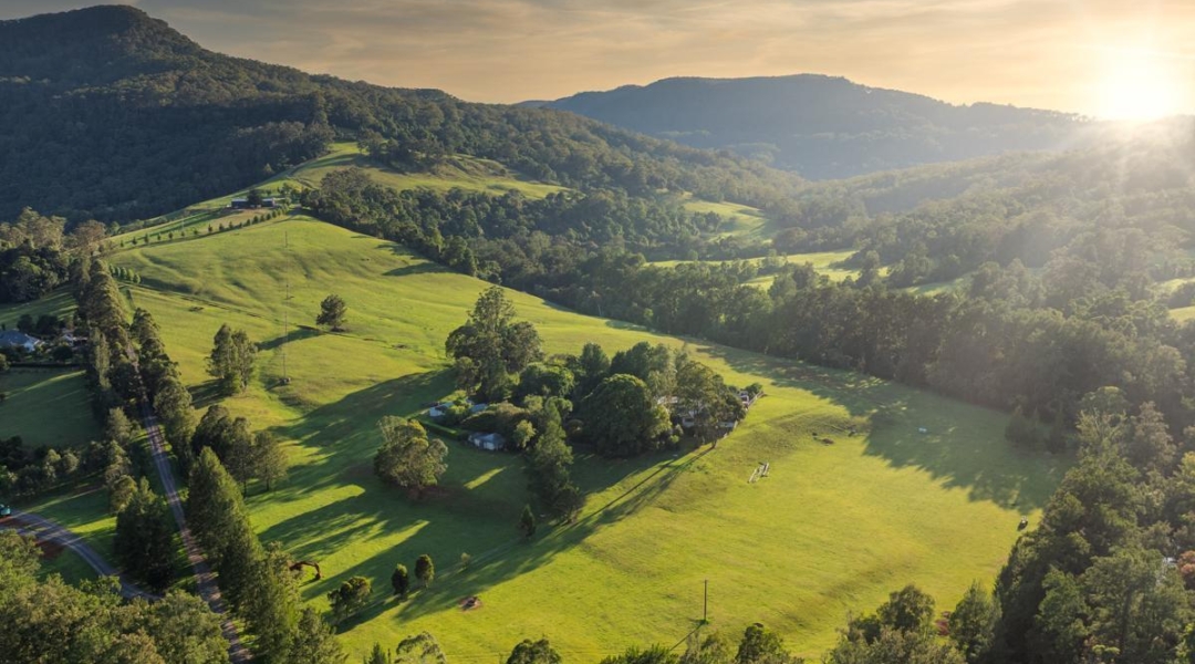 WATTAMOLLA, NSW 2535 AUS