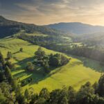 WATTAMOLLA, NSW 2535 AUS