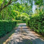 58 Priddles Lane, WATTAMOLLA, NSW 2535 AUS