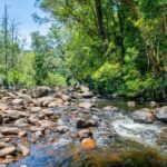 58 Priddles Lane, WATTAMOLLA, NSW 2535 AUS