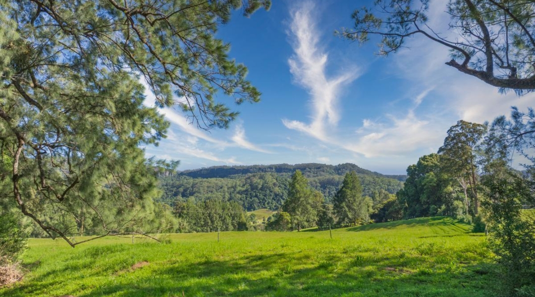 58 Priddles Lane, WATTAMOLLA, NSW 2535 AUS