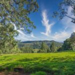 58 Priddles Lane, WATTAMOLLA, NSW 2535 AUS