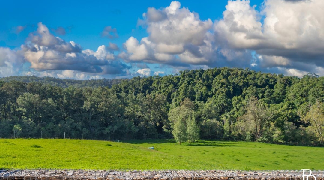 58 Priddles Lane, WATTAMOLLA, NSW 2535 AUS