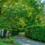 WATTAMOLLA, NSW 2535 AUS